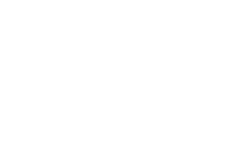 amalia-logo-white