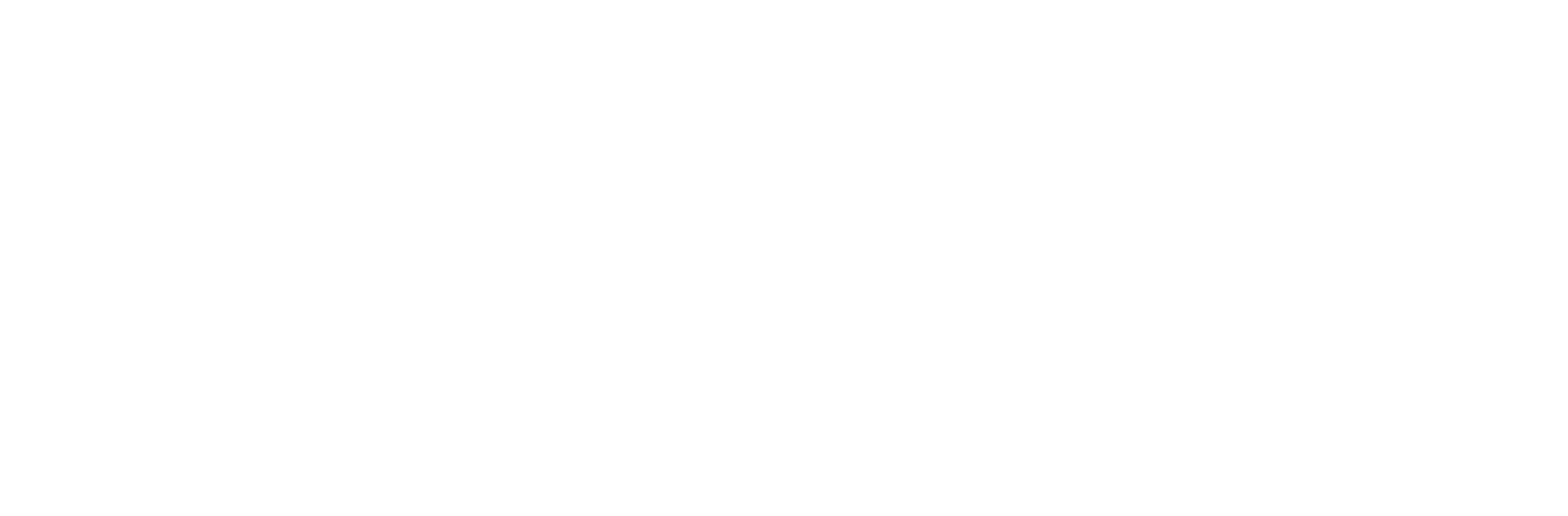 dmcc-logo-white