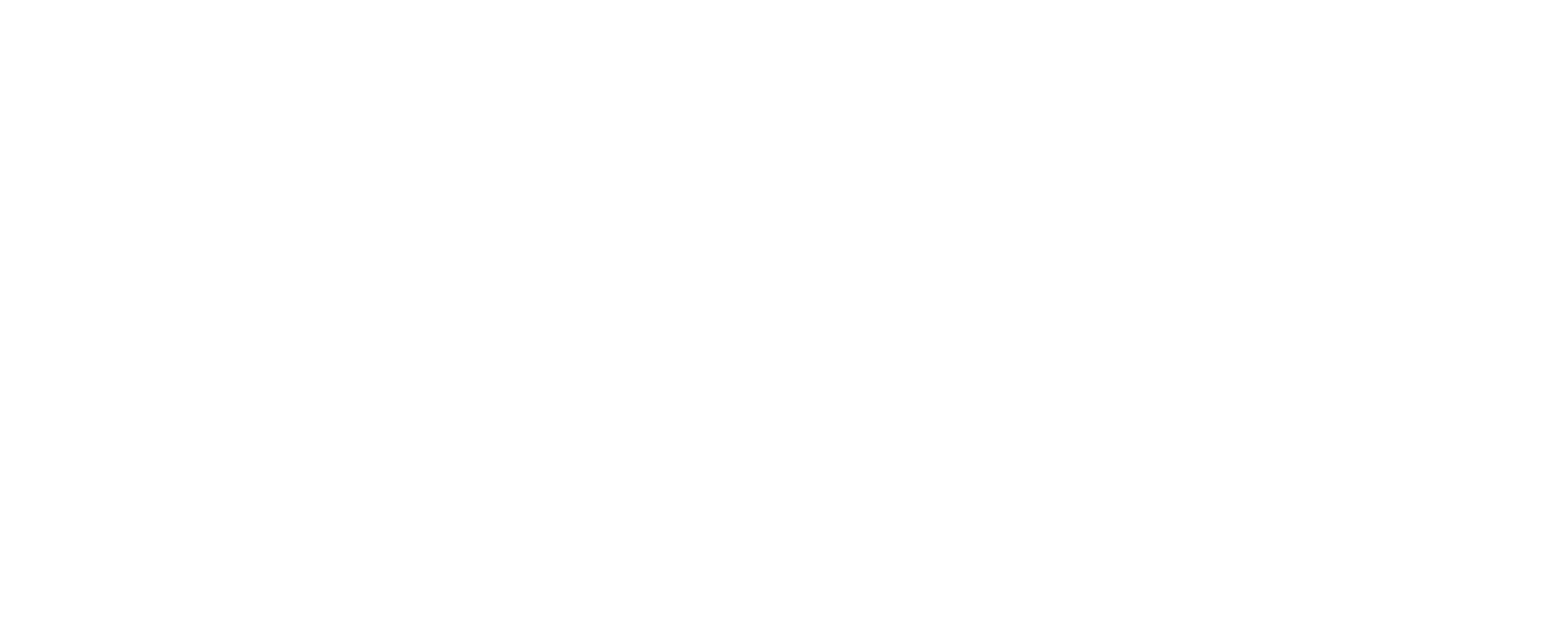 mag logo white-01