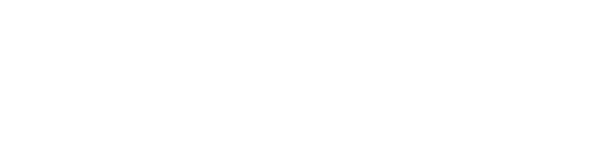 seapoint-logo-white