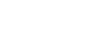 wadeem logo