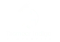 tasmeer indigo logo