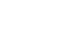 BAYZ 101 by Danube White Logo