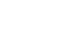 Virdis-Logo