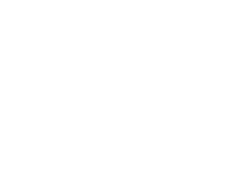 avenew logo