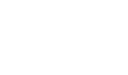 logo-d1-white