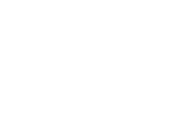 skyz logo white