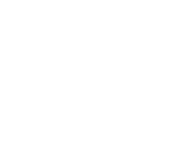 Emaar Properties White Logo