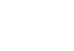 Tiger Properties Logo